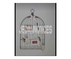 vend cage  murale deco