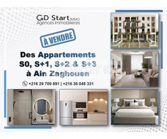 Des appartements S0, S+1, S+2 ou S+3 & Duplexes à Ain Zaghouan