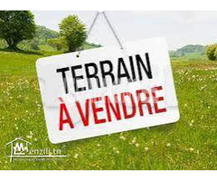 Terrain à vendre