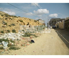 un beau  terrain à Hammamet kharrouba