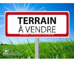 Vente Terrain