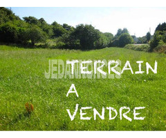 A #vendre un terrain à  SIDI SOFIAN LA SOUKRA