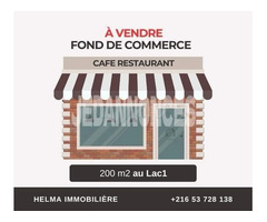 fond commerce a vendre au lac 1