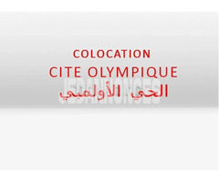 Colocation Chambre individuelle Pour Hommes (cite olympique) 225DT/mois