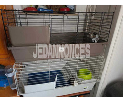 cages pour lapins