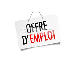 recrutement MBM Suzuki cherche