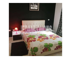 location vacances à Tunis route la Marsa cité les palmeraie Aouina une chambre salon luxueuse propre