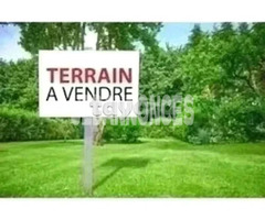 Terrain 200 m² à Haouaria (الشاطئ القبلي )