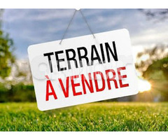 Terrain 5000 m² a Chotrana 1