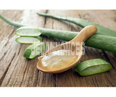 ALOE VERA NATURELLE 25 d le kilo