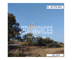 lot de 4357m² sur la route de Ras Jebel, Tunis