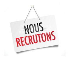 offre emploi graphiste