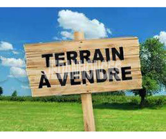 Vente terrain