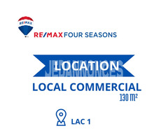 Location Local Commercial Lac 1