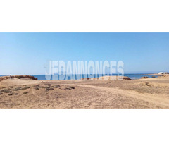 terrain de 5 hk a vendre sidi dauad el haouaria