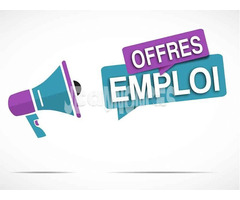 agent de vente en ligne