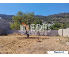 A Vendre 3  lots à Rafraf Lahmeri